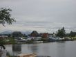 IMG_1513.jpg