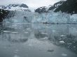 IMG_1566.jpg