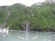 IMG_1568.jpg