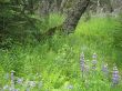 IMG_1720.jpg