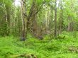 DSCN0400.jpg
