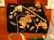 DSCN0563.jpg