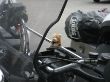 IMG_1831.jpg