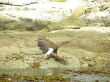 DSCN0839.jpg