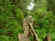 DSCN0947.jpg