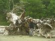 DSCN0949.jpg