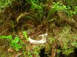 DSCN0954.jpg