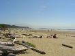 DSCN0971.jpg