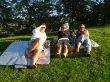 DSCN1243.jpg