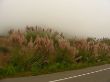 DSCN2158.jpg