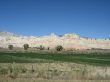 IMG_3350.jpg