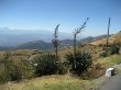 IMG_6125.jpg
