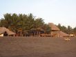 IMG_6320.jpg