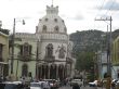 IMG_7391.jpg